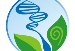 Eu vou dar 1 hora de monitoria em Biologia