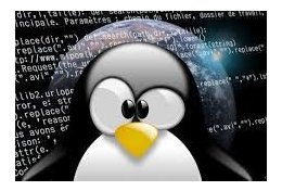 Eu vou dar aula ou suporte de Linux