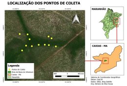 Eu vou Confeccionar mapas para trabalhos acadêmicos como TCC's e artigos