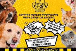 Eu vou fazer banner para suas midias sociais