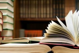 Eu vou resumir o livro para você