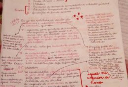 Eu vou esquematizar a matéria da sua prova