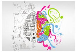 Eu vou produzir Artigo para o seu vlog/site