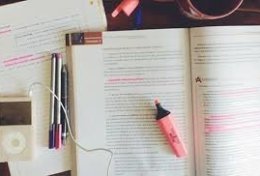 Eu vou fazer seus deveres do colégio