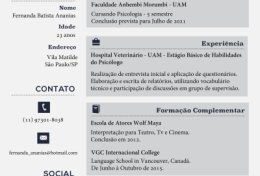 Eu vou fazer o seu currículo