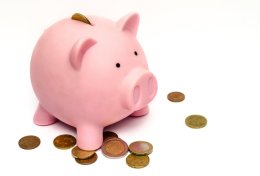 Eu vou organizar suas finanças