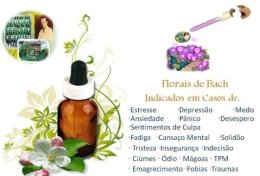 Eu vou fazer sua consulta Floral de Bach