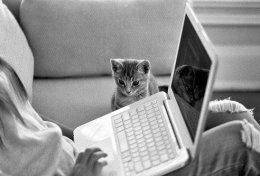 Eu vou colocar seu trabalho nas normas da ABNT