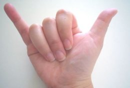 Eu vou digitar qualquer coisa