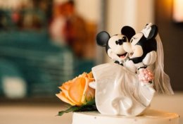 Eu vou planejar seu casamento