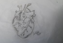 Eu vou fazer divulgação no instagran e Facebook