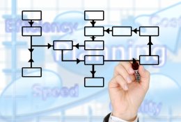 Eu vou fazer um fluxograma e organograma para a sua empresa