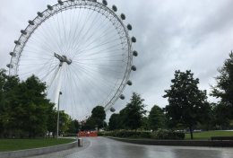 Eu vou traduzir seu texto para o inglês