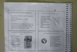 Eu vou fazer seu trabalho academico