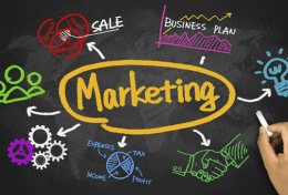 Eu vou auxiliar com ideias no marketing da sua empresa