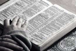 Eu vou resumir um livro para você