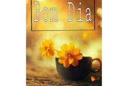 Eu vou escrever seus artigos