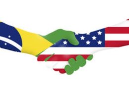 Eu vou traduzir textos