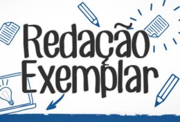 Eu vou escrever suas redações e textos sobre qualquer assunto