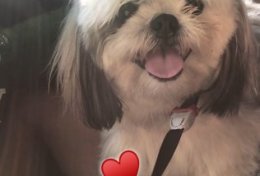 Eu vou traduzir o seu texto de português para inglês