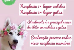 Eu vou fazer o design do seu post no instagram