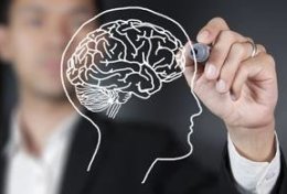 Eu vou revisar e corrigir seu TCC ou Monografia de acordo com as regras da ABNT