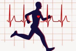 Eu vou te enviar ebooks e dicas para musculação