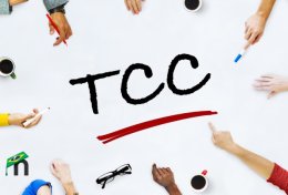 Eu vou Fazer seu TCC para a faculdade