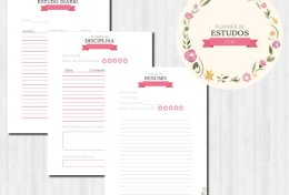 Eu vou organizar seu Planner de Estudo