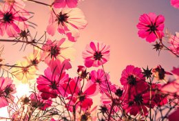 Eu vou revisar seu texto