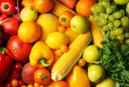 Eu vou montar um planejamento para o seu plantio de frutas/flores/hortaliças