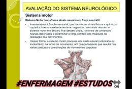 Eu vou fazer sua pesquisa da escola