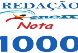 Eu vou fazer a sua redação dissertativa argumentativa