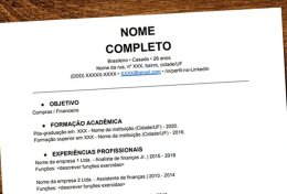 Eu vou fazer seu currículo