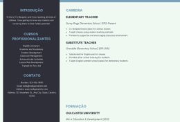 Eu vou criar seu curriculum profissional