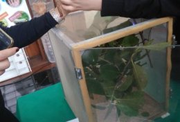 Eu vou Te ajudar em Biologia