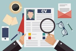 Eu vou elaborar seu currículo