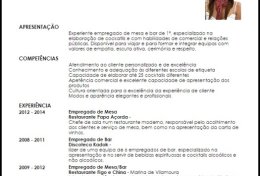 Eu vou elaborar seu currículo