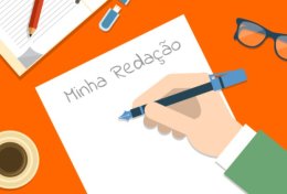 Eu vou escrever sua redação ou texto por