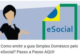 Eu vou ensinar fazer Folha Doméstica E Social