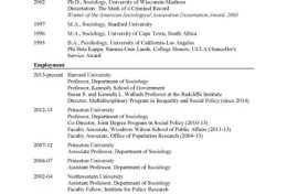 Eu vou traduzir seu currículo para o Inglês