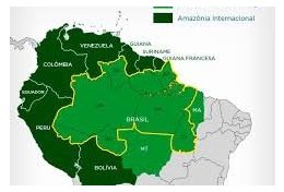Eu vou te ensinar sobre a Amazônia