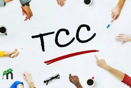 Eu vou fazer assessoria no seu Artigo ou TCC