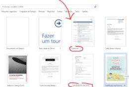 Eu vou montar seu currículo de forma correta