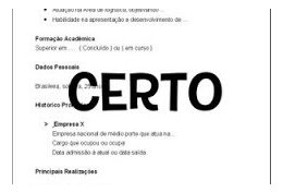 Eu vou fazer um Currículo Profissional para você