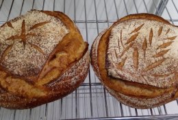 Eu vou te ensinar a fazer fermentação natural