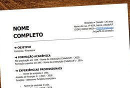 Eu vou Fazer o seu curriculo