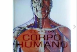 Eu vou te ensinar anatomia