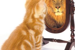 Eu vou lhe fornecer consultoria sobre autoconhecimento