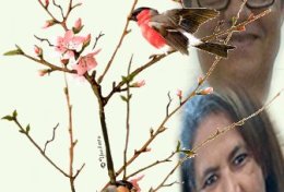 Eu vou fazer sua imagem gif do geito que voce quiser